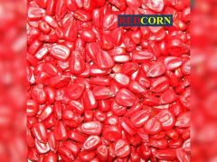 Фарба для насіння REDCORN Premium червона, 10л