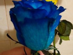 Фарба для квітів синя PreFlower Color, 100г