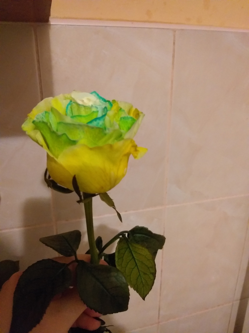 Фарба для квітів зелена PreFlower Color, 2мл